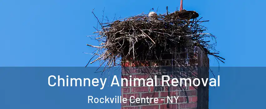  Chimney Animal Removal Rockville Centre - NY