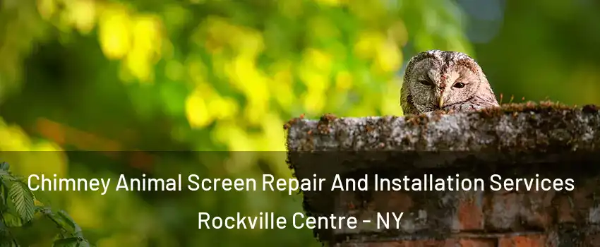  Chimney Animal Screen Repair And Installation Services Rockville Centre - NY